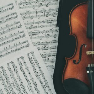 stefany-andrade-GbSCAAsU2Fo-unsplash