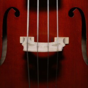 zach-doty-h79mqiSg0GQ-unsplash