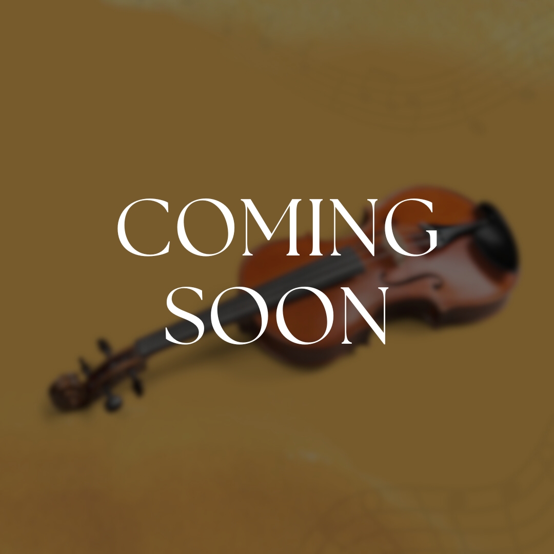 Violon, </br>Eugène Nicolas Sartory