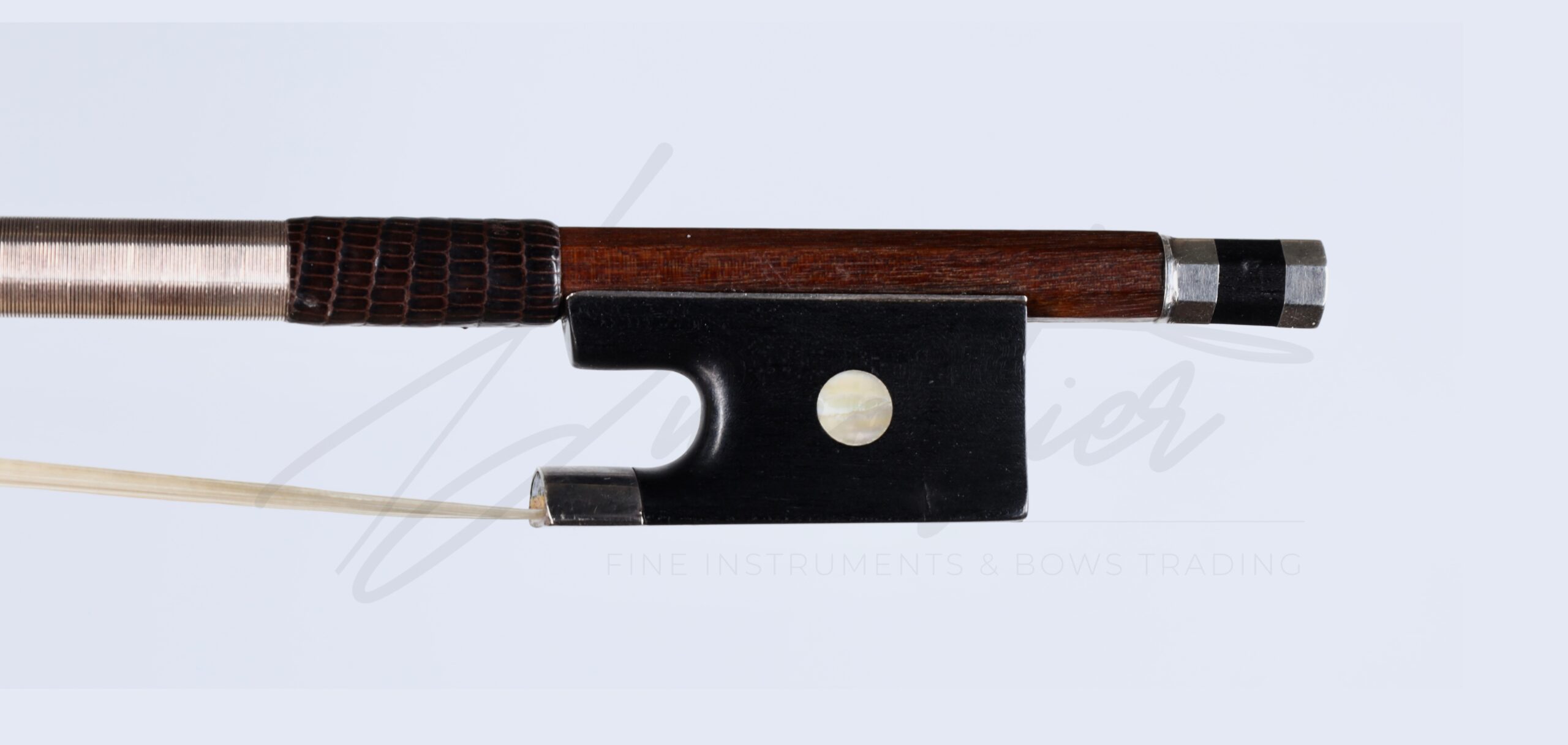 Violon, </br>Dominique Peccatte