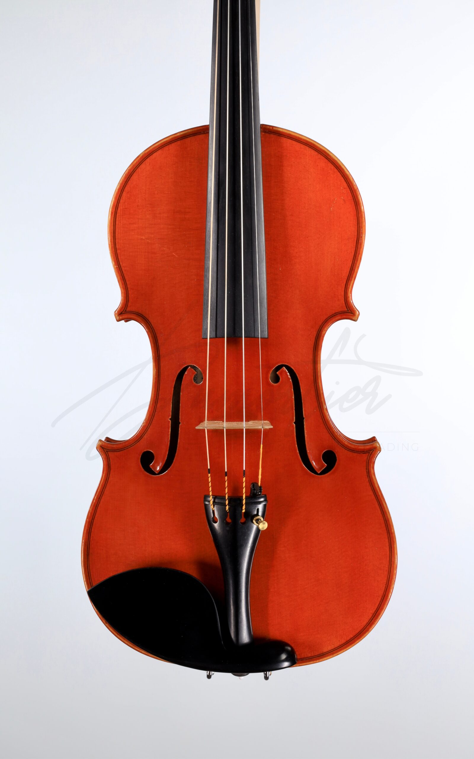 Violon, </br>Annibale Fagnola