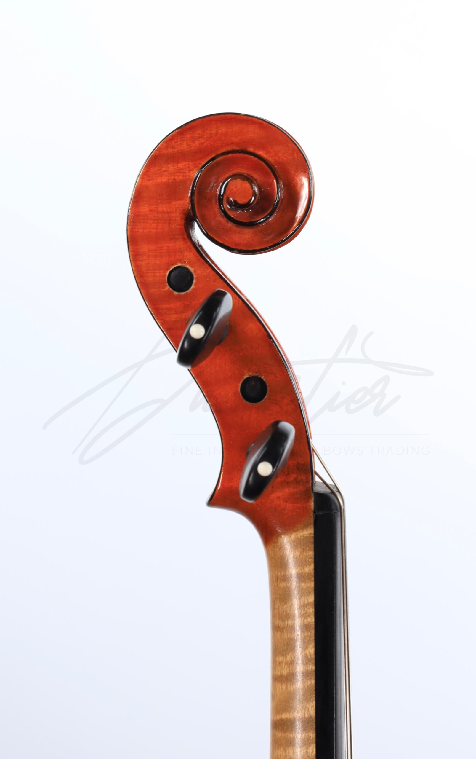 Violon, </br>Annibale Fagnola – Image 5