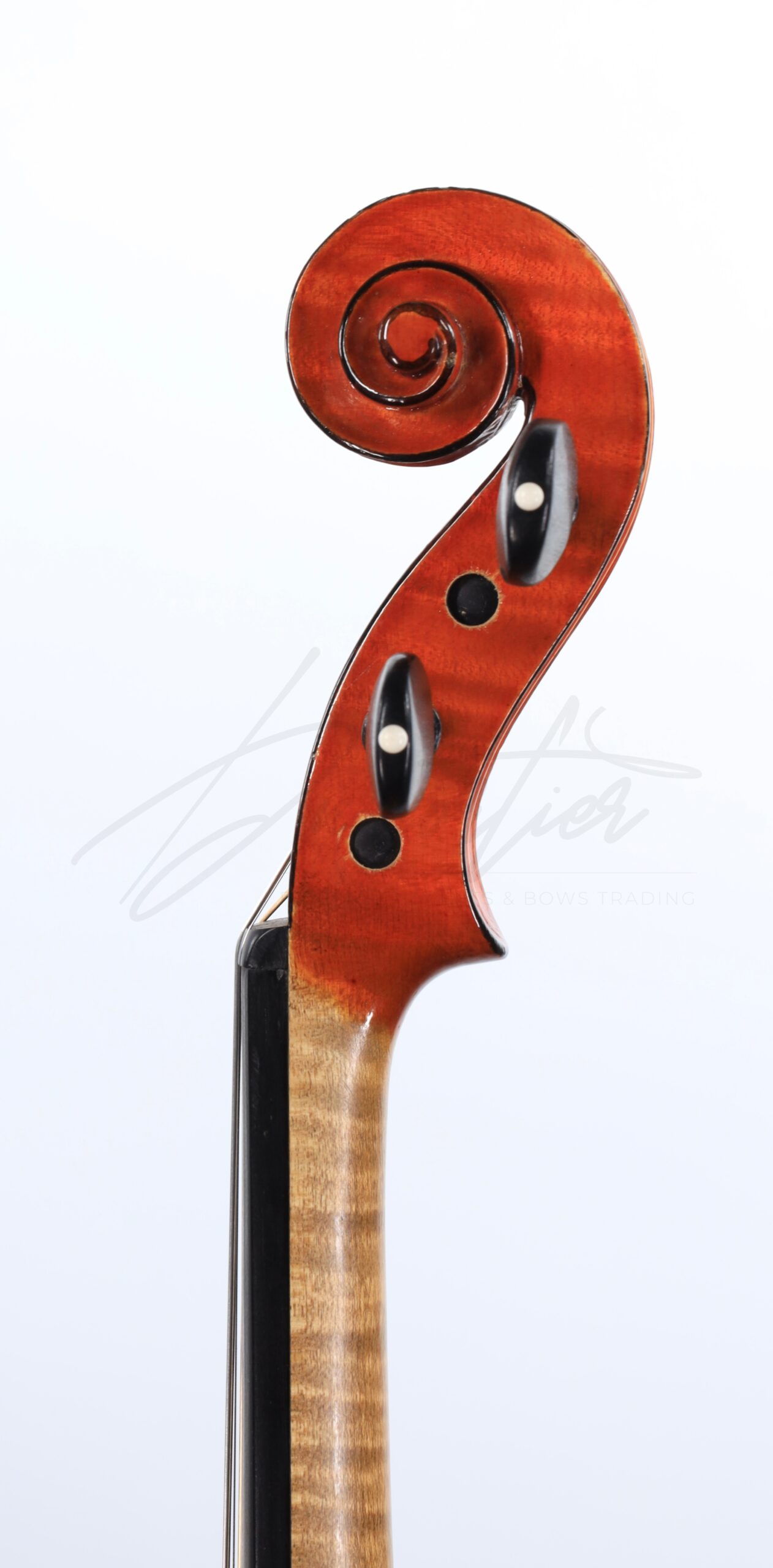Violon, </br>Annibale Fagnola – Image 6