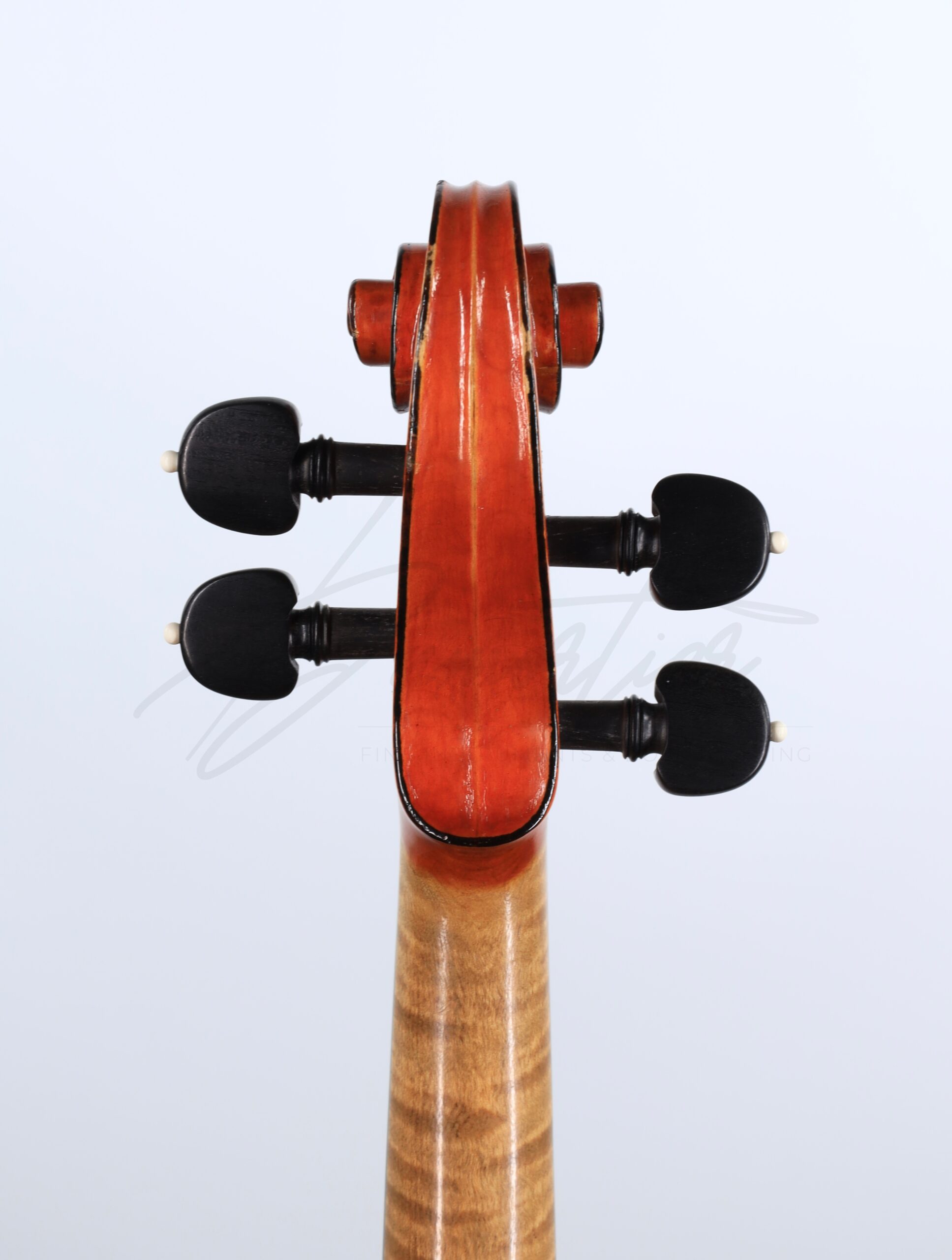 Violon, </br>Annibale Fagnola – Image 4