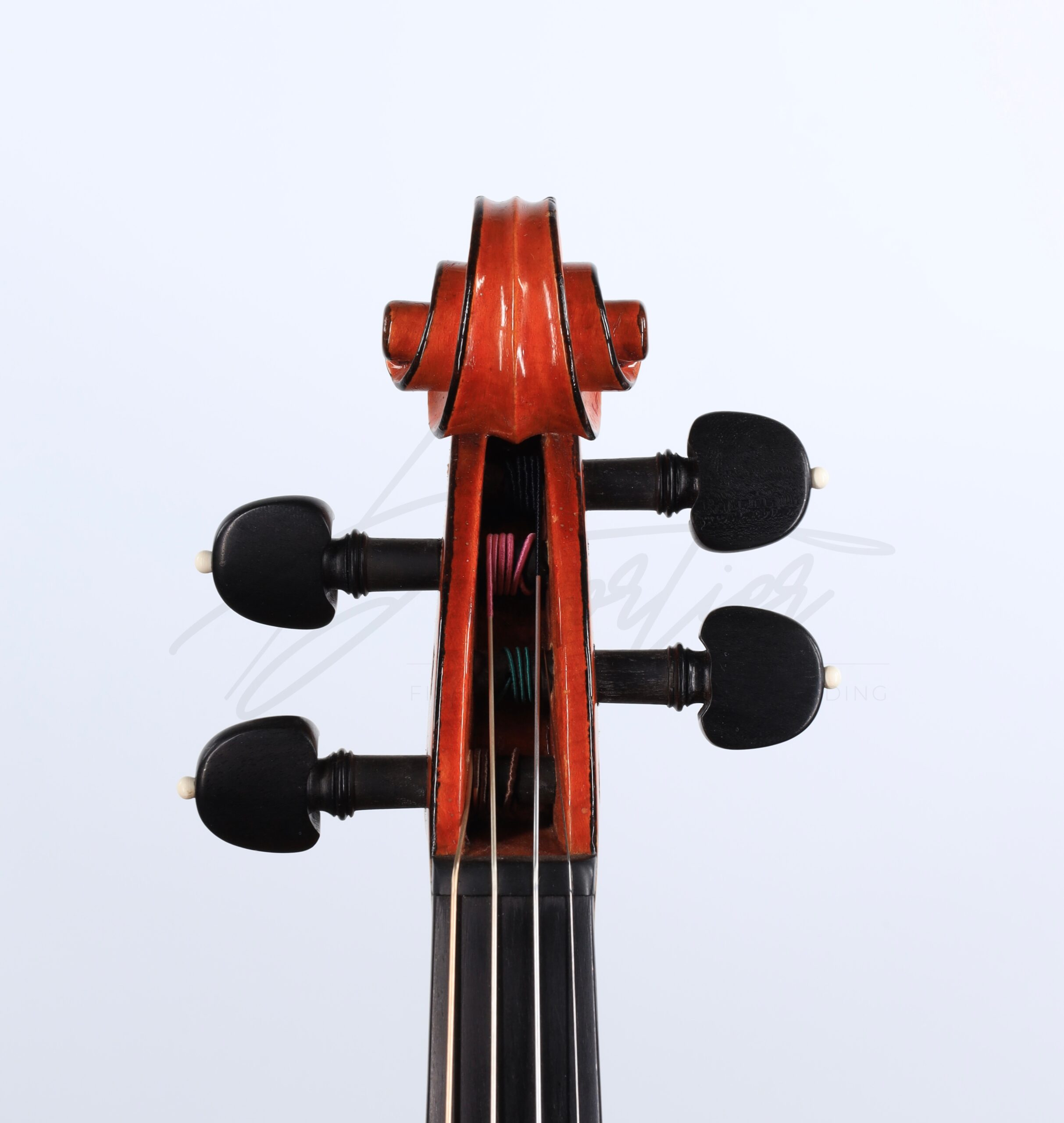 Violon, </br>Annibale Fagnola – Image 3