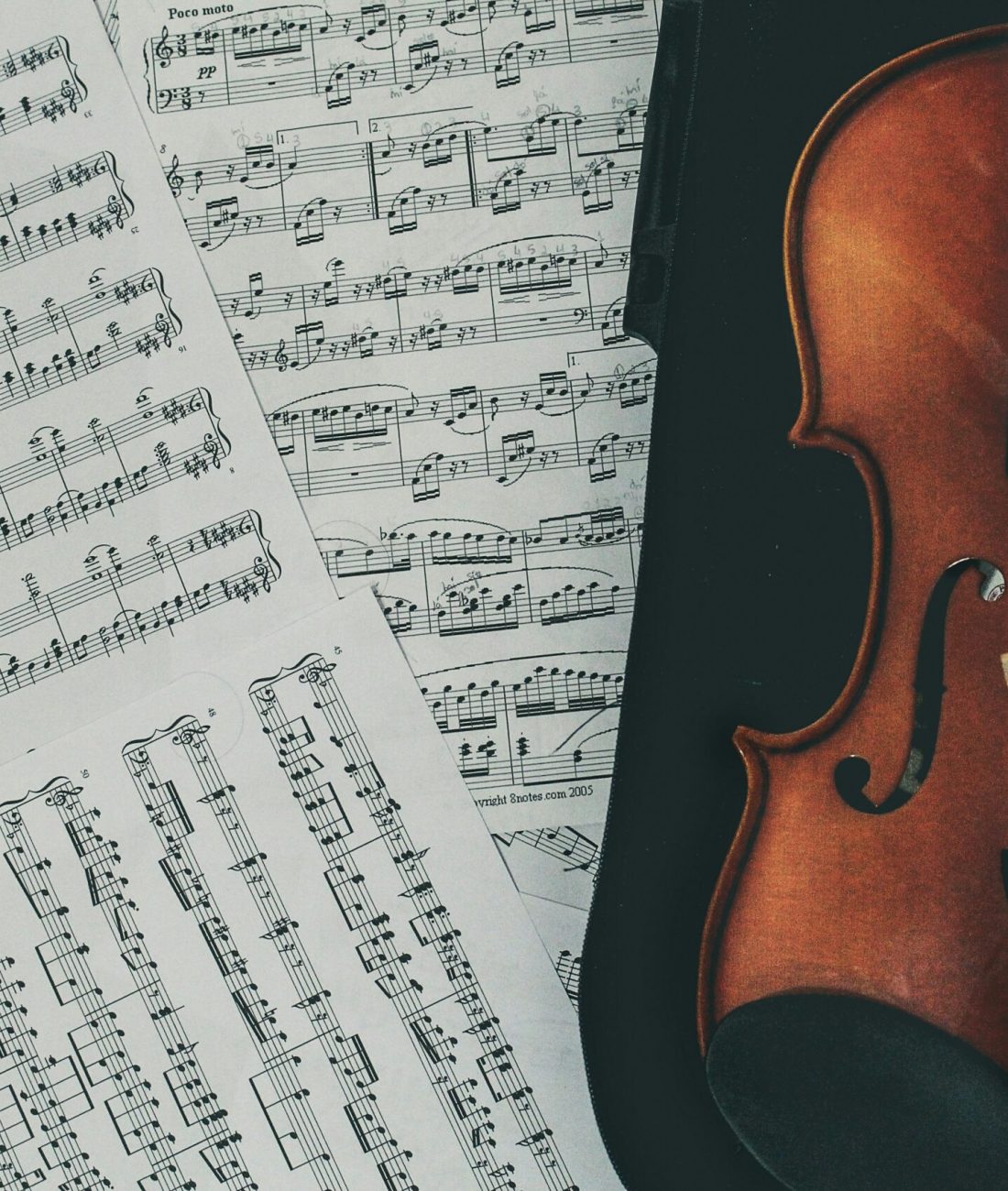 stefany-andrade-GbSCAAsU2Fo-unsplash